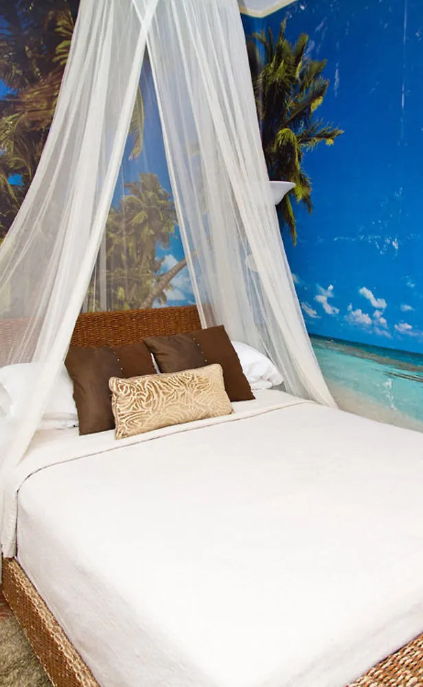 Studio With Modern Amenities, Walk-In Shower, Jacuzzi, Beach, And Pool, (Adults Only)