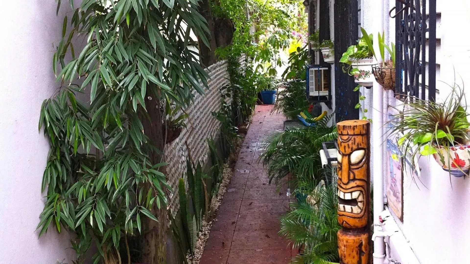 Coqui Del Mar Guesthouse (Adults Only) San Juan Puerto Rico